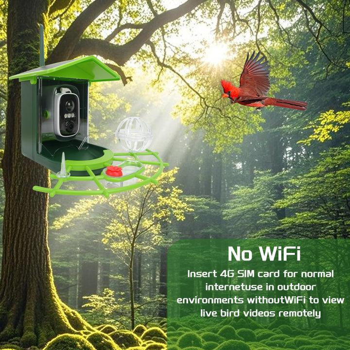 Smart Birdwatching Feeder with Solar Camera