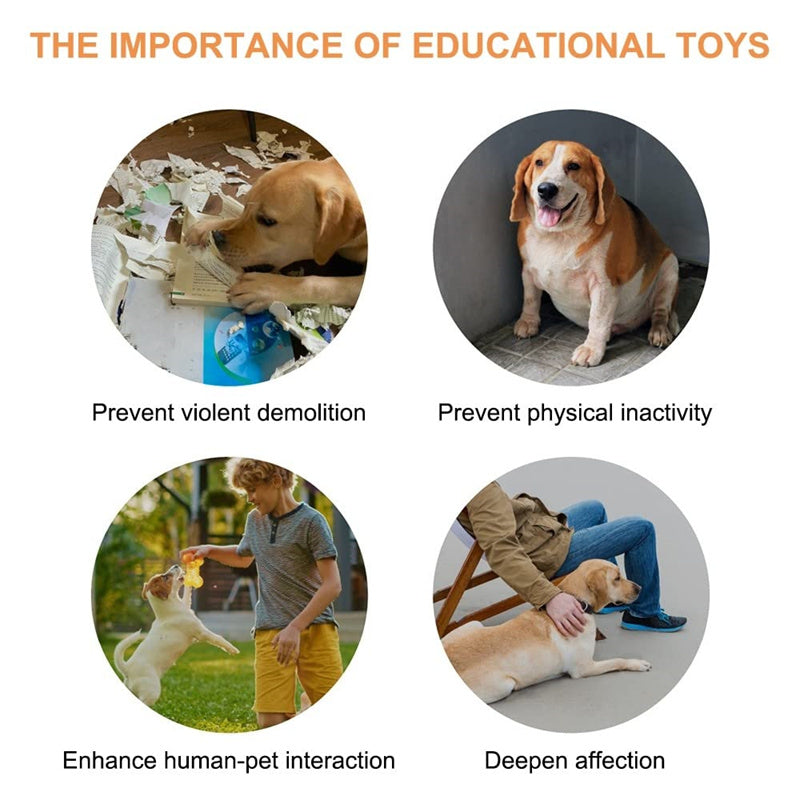 4 Colors Pet Communication Button One-click Prevent Physical