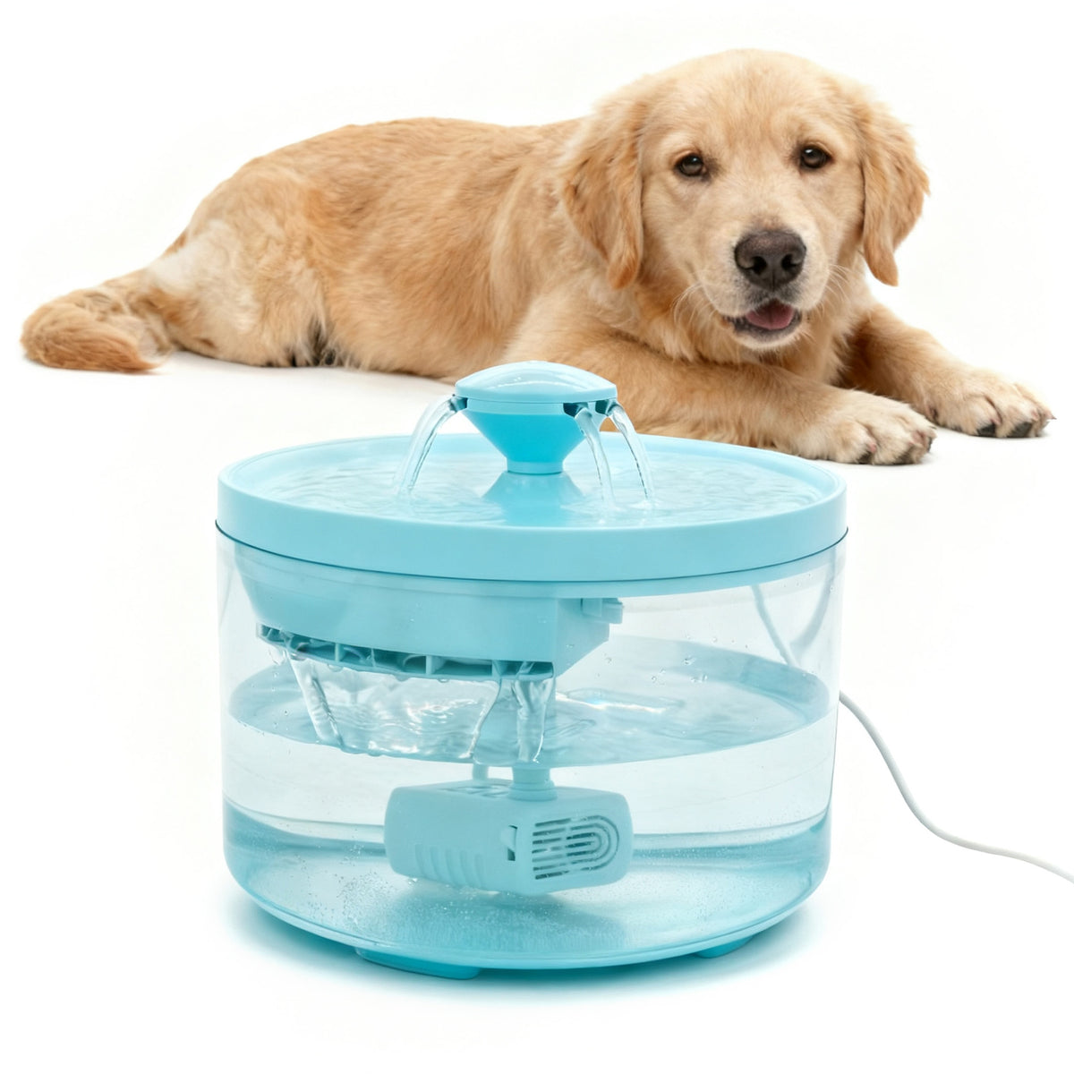 Automatic Pet Water Fountain Circulating Drinking Dispenser For