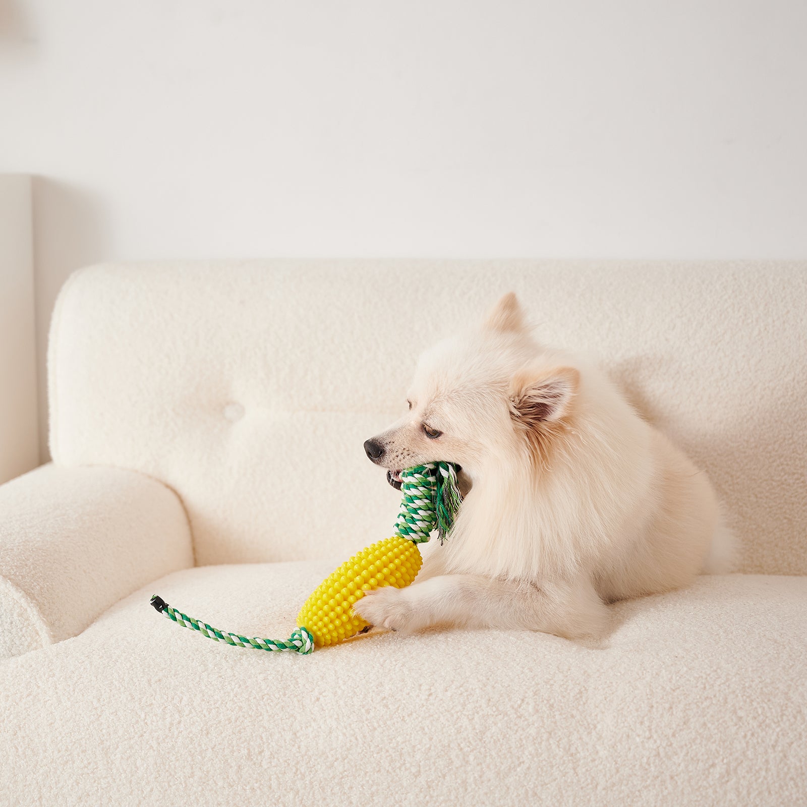 Puppy Toothbrush Clean Teeth Interactive Corn Toys Dog Aggressive