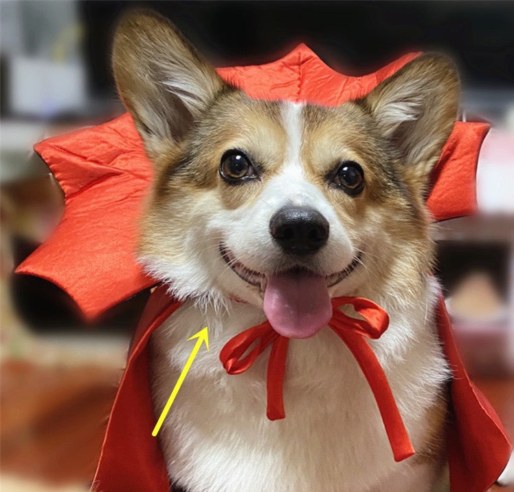 Halloween Pet Costumepet Cape Vampire King