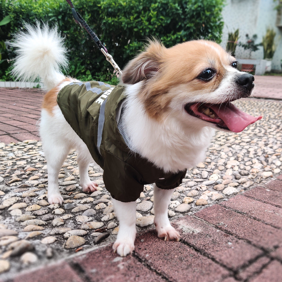 New Style Pet Raincoat With Reflective Strips