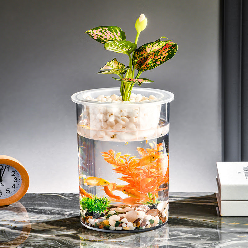 Living Room Micro Landscape Desktop Ecological Pot Transparent