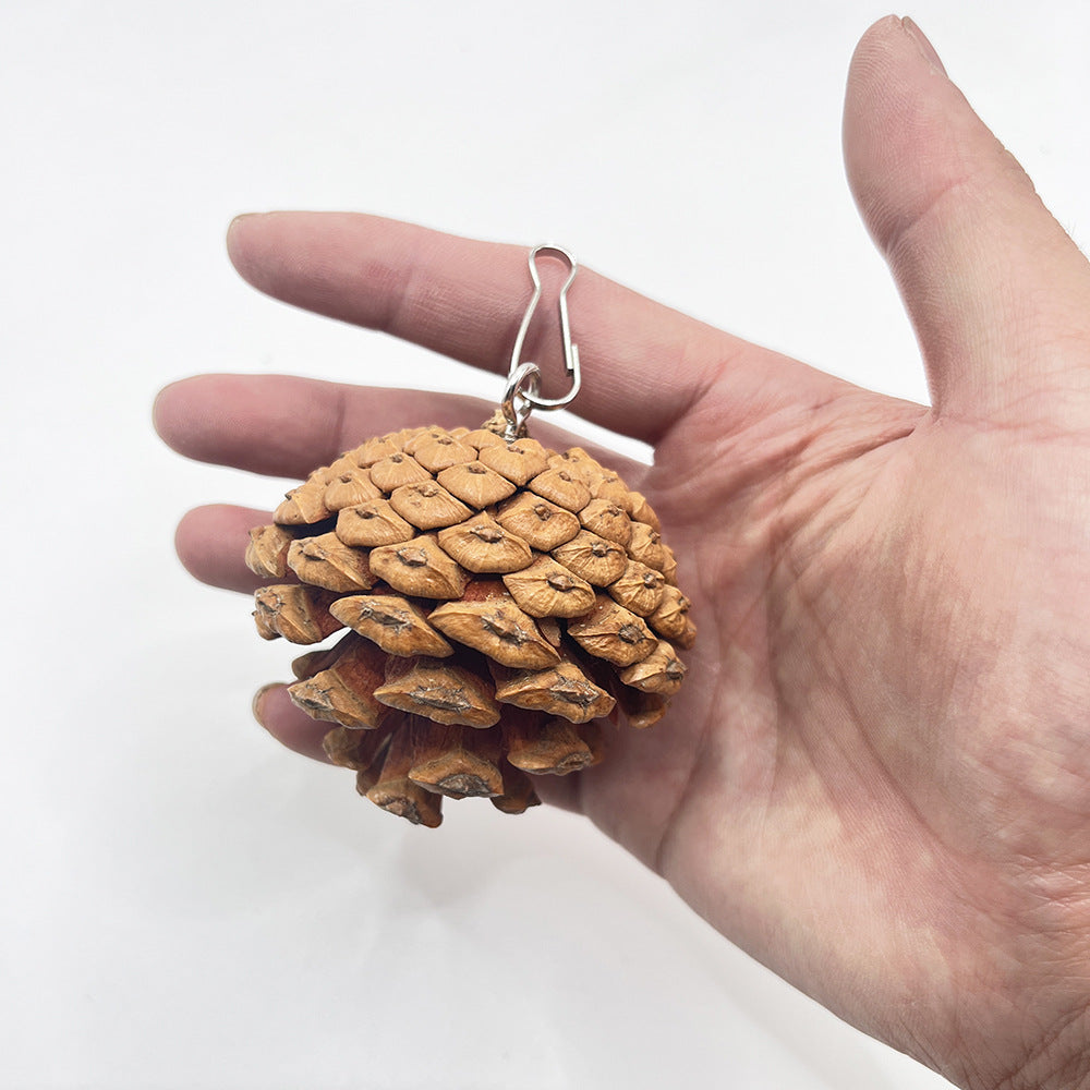 Parrot Bite Toy Can Hang With Studs Pine Cones