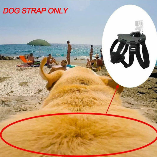 Dog Harness Chest Strap Camera Accessory For Dualuse Back On