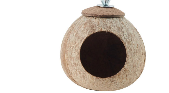 Reptile Swing