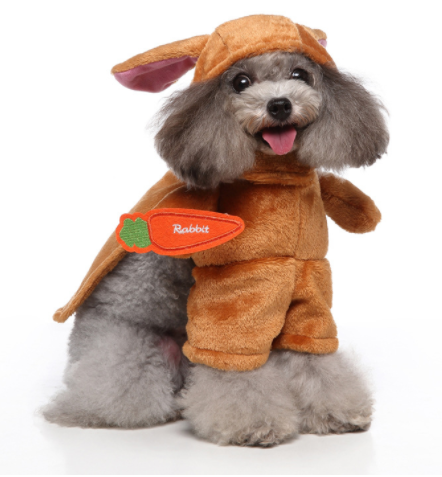 Cosplay Pet Supplies Standing Outfit Funny Dog Clothes Upright