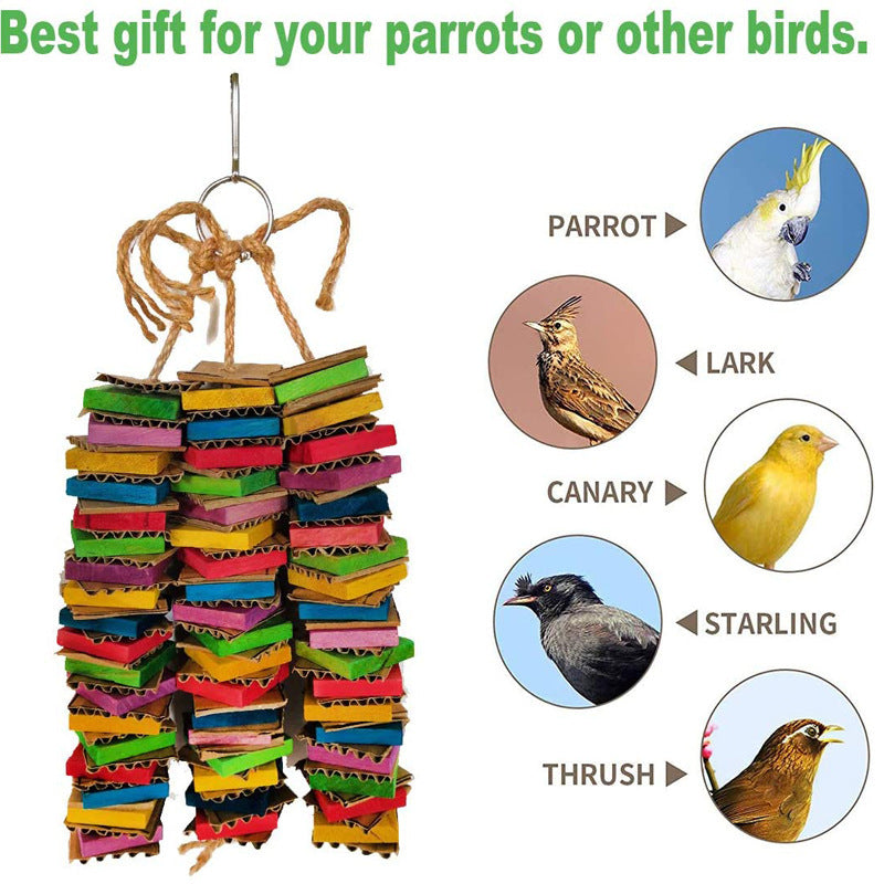 Parrot Gnawing Toy Building Blocks Destroyed