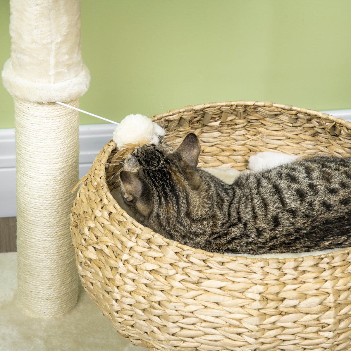 72cm Cat Tree Kitten Tower With Sisal Scratching Post Two Beds Toy